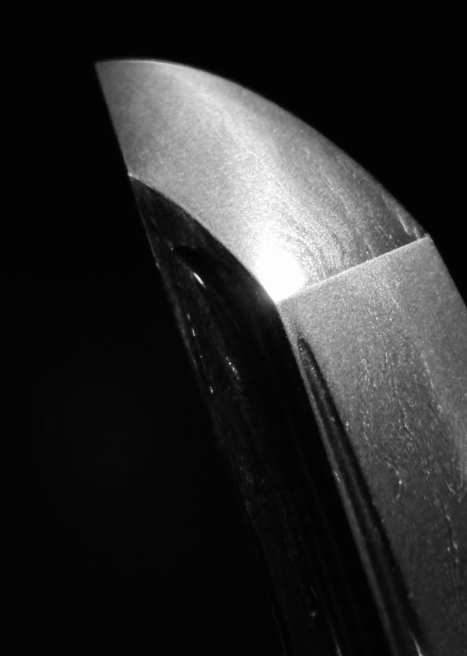 photo_03