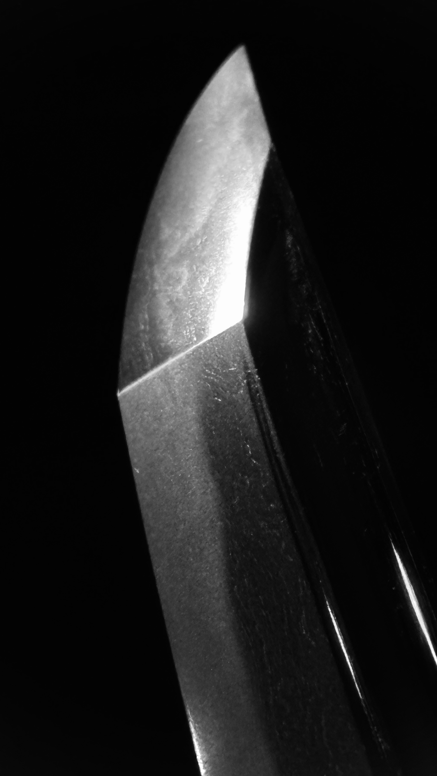 photo_07