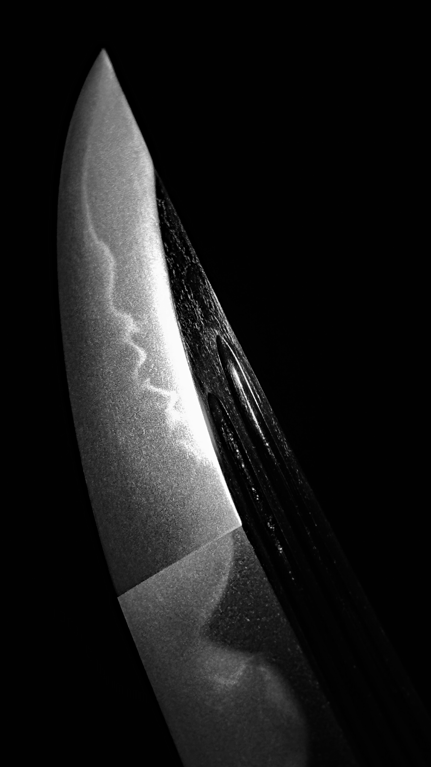 photo_07