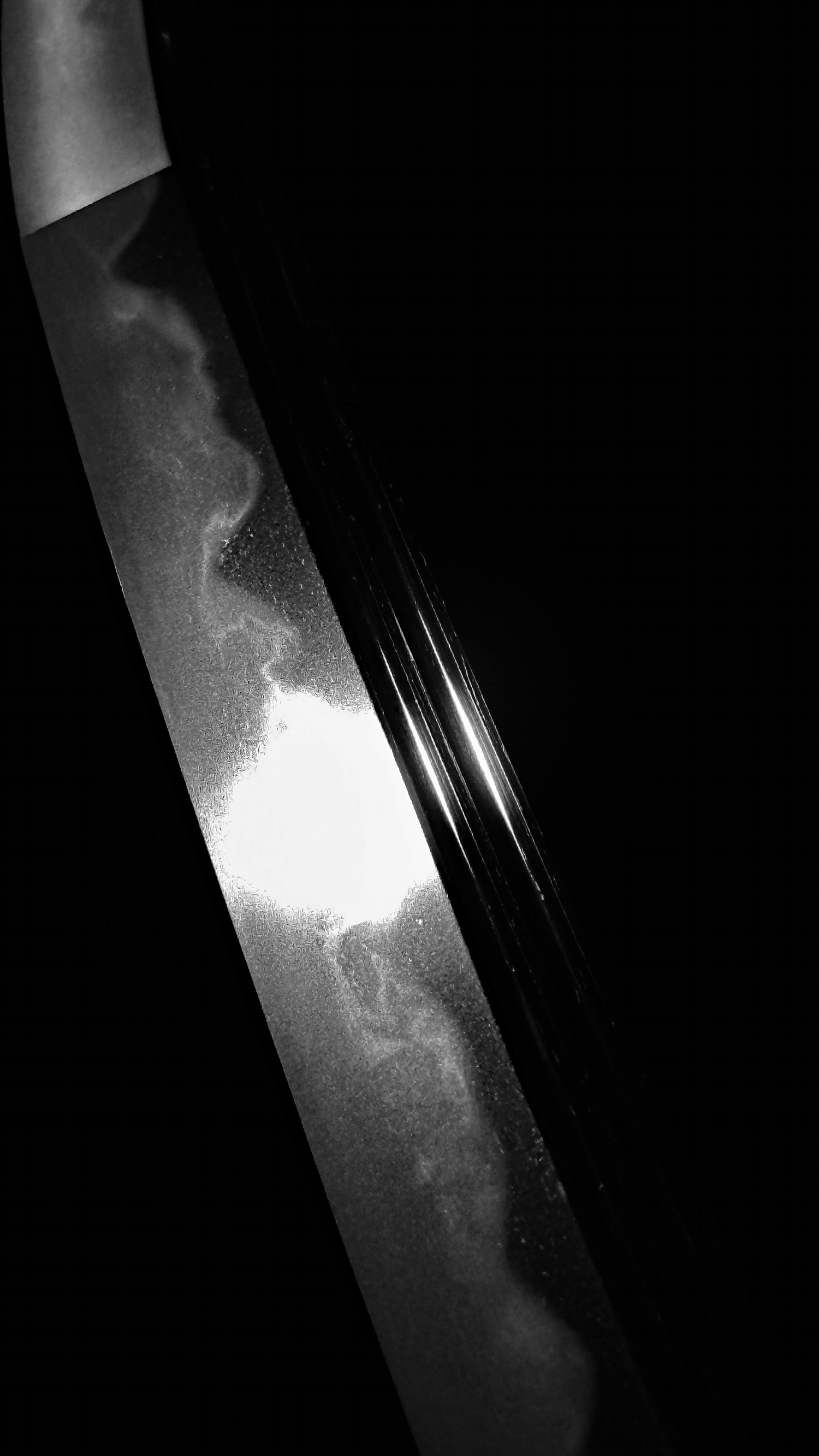 photo_08