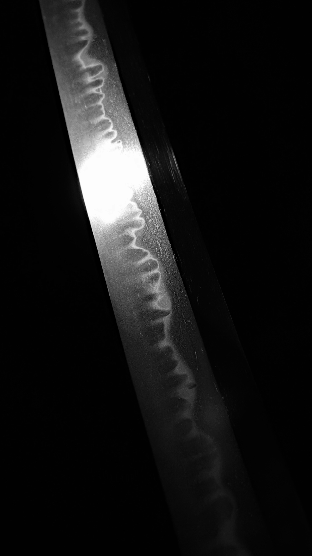 photo_09