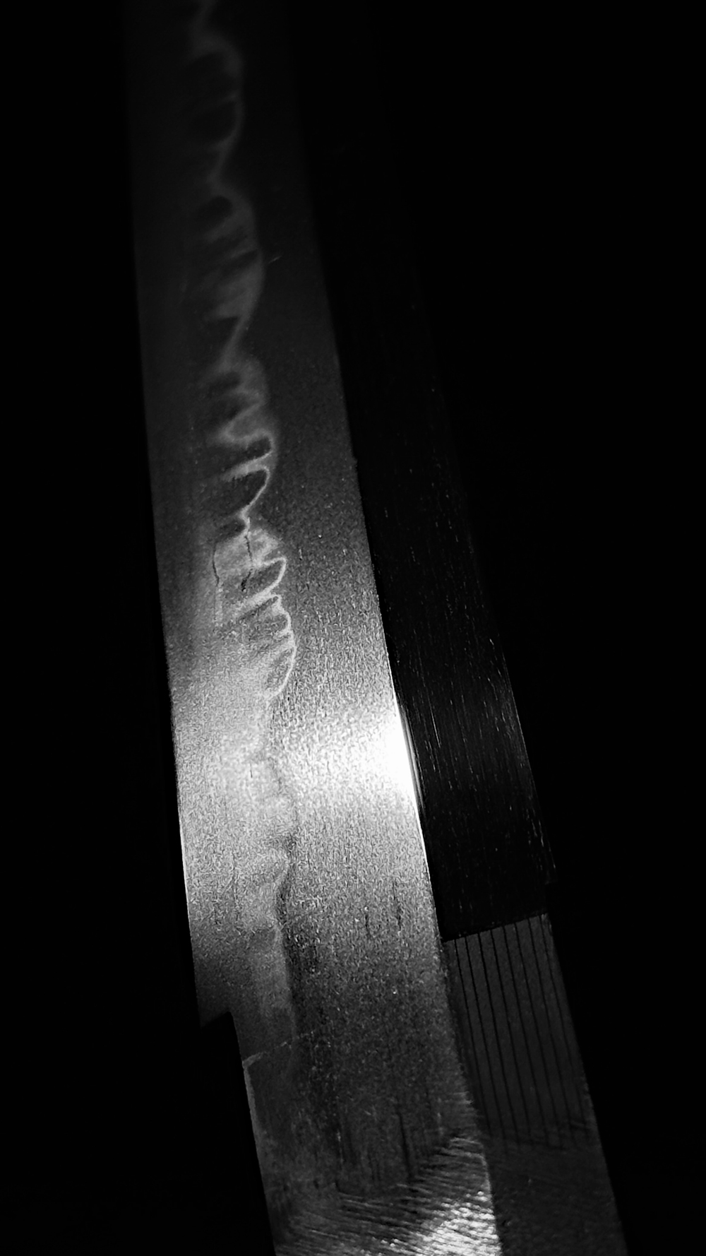 photo_11