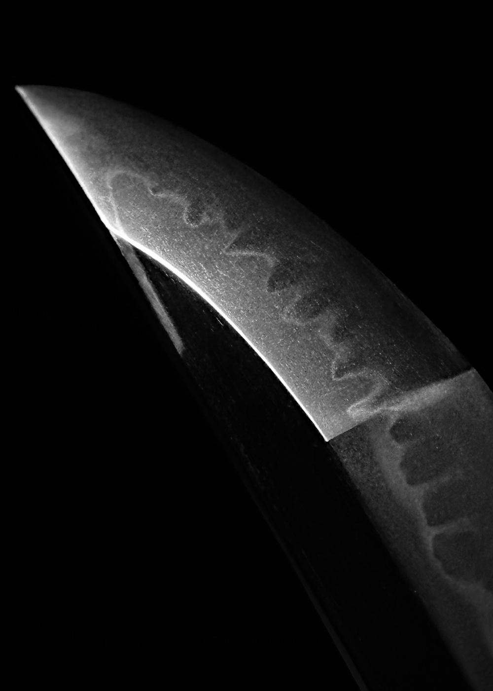 photo_02
