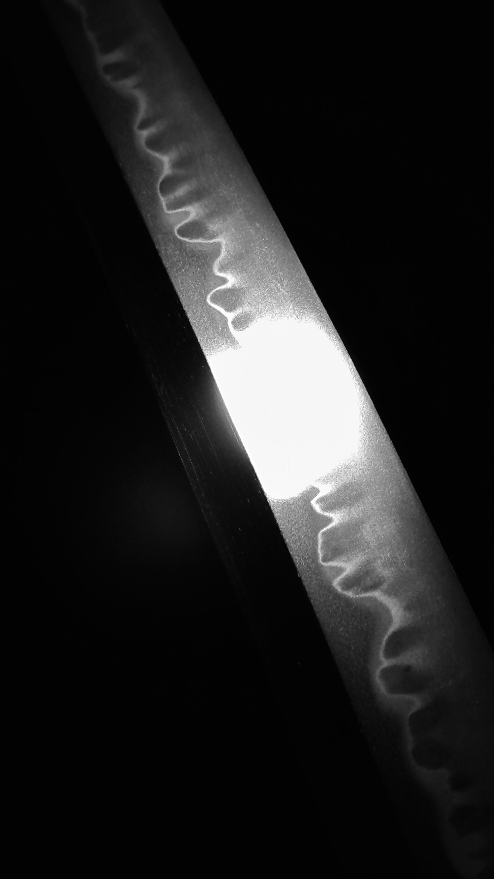 photo_04