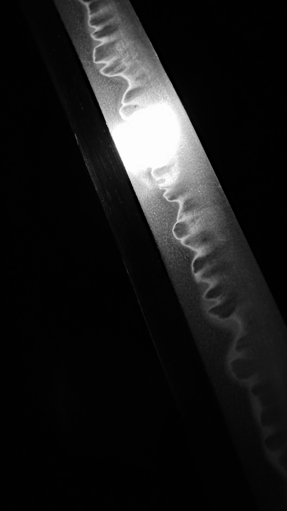 photo_05