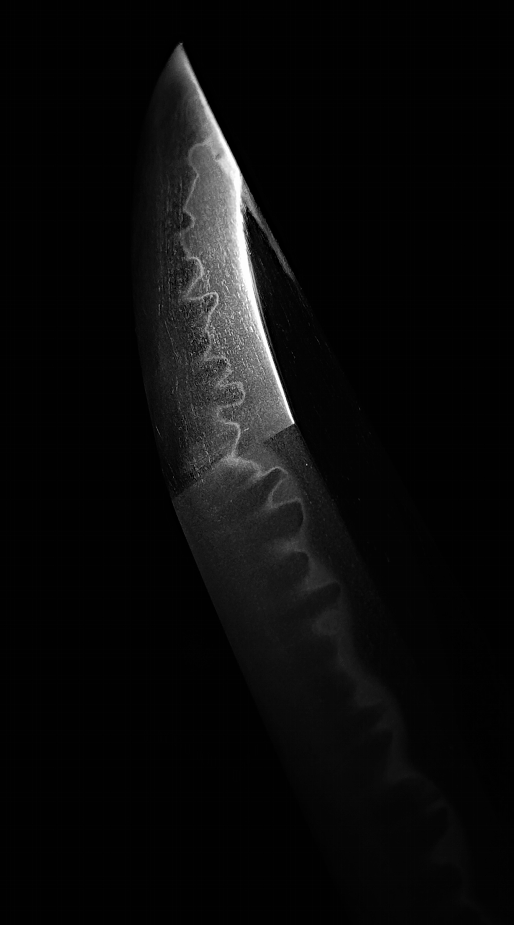 photo_07