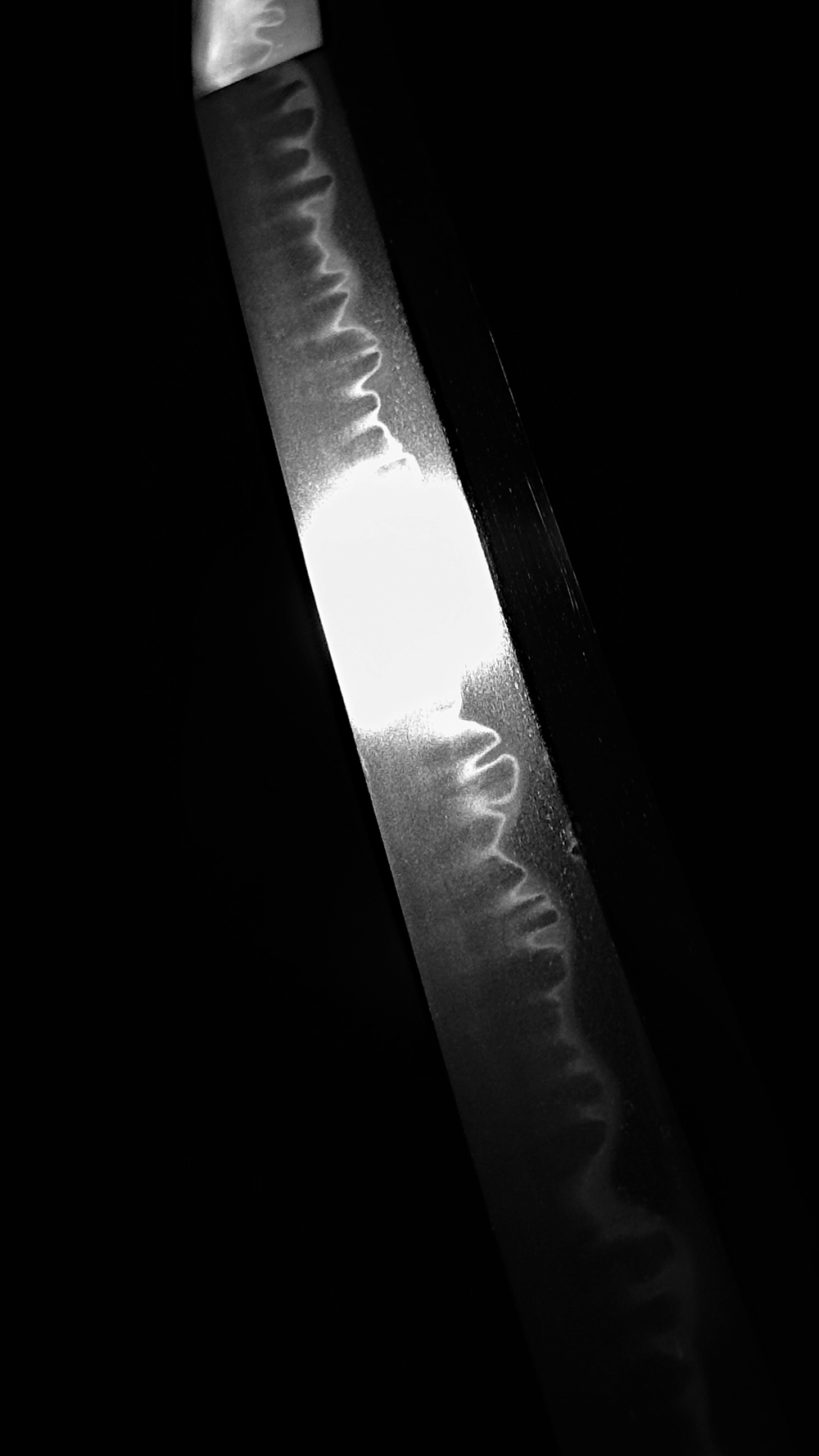 photo_08