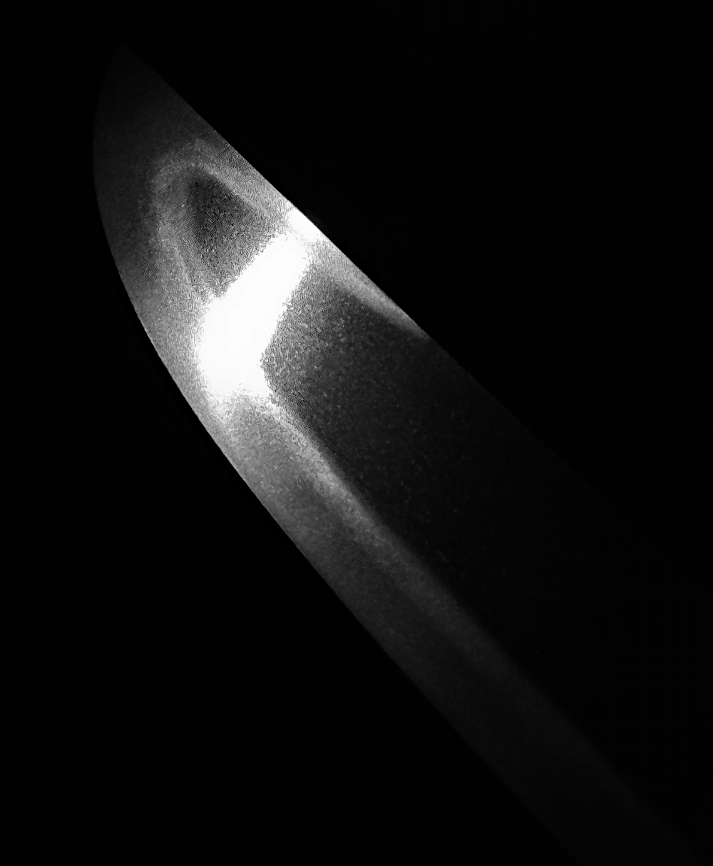 photo_11