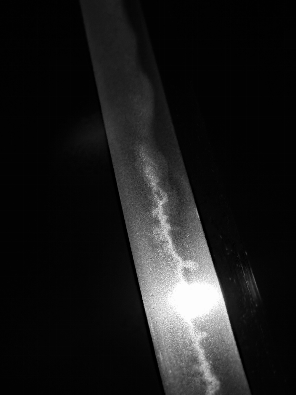 photo_15