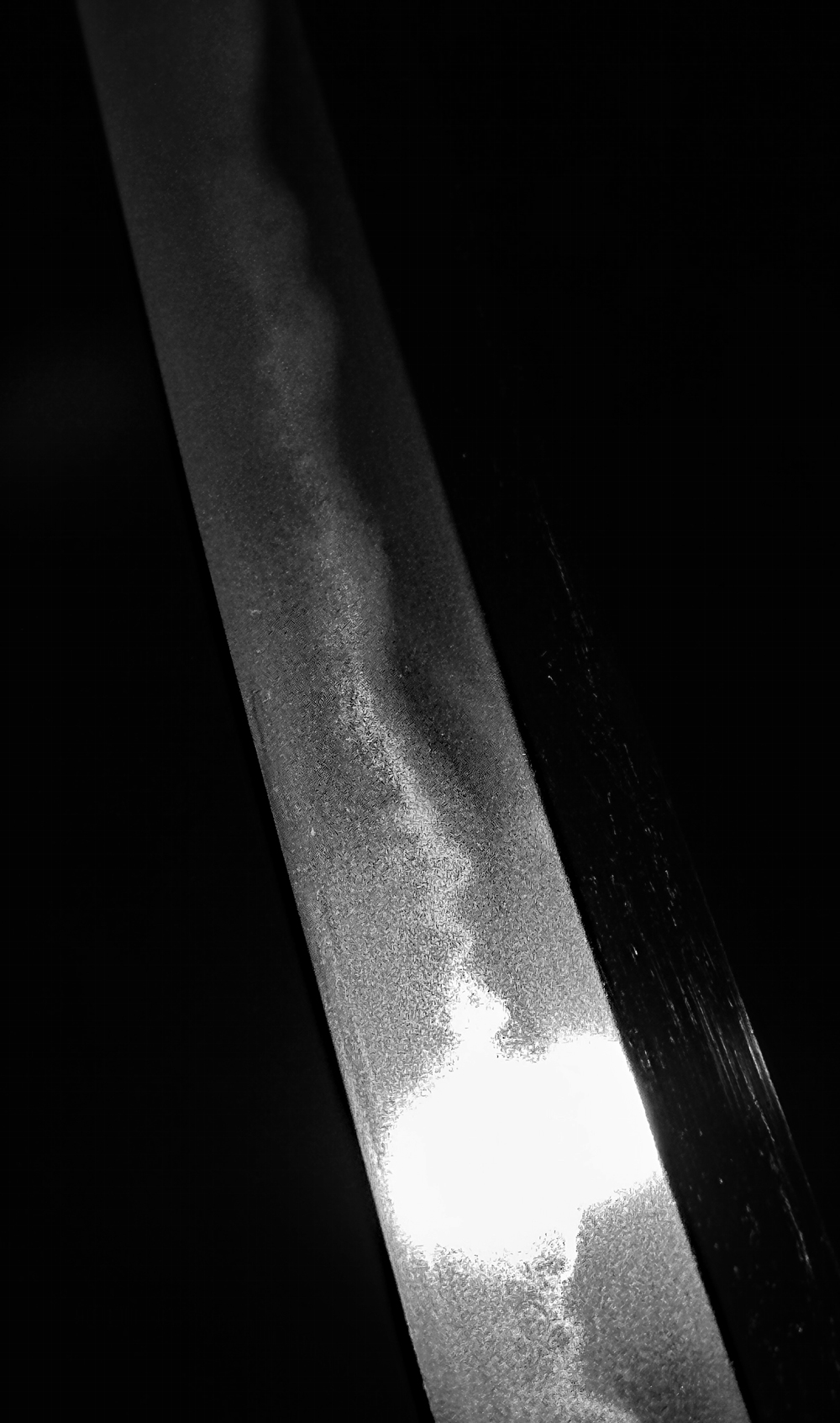 photo_16