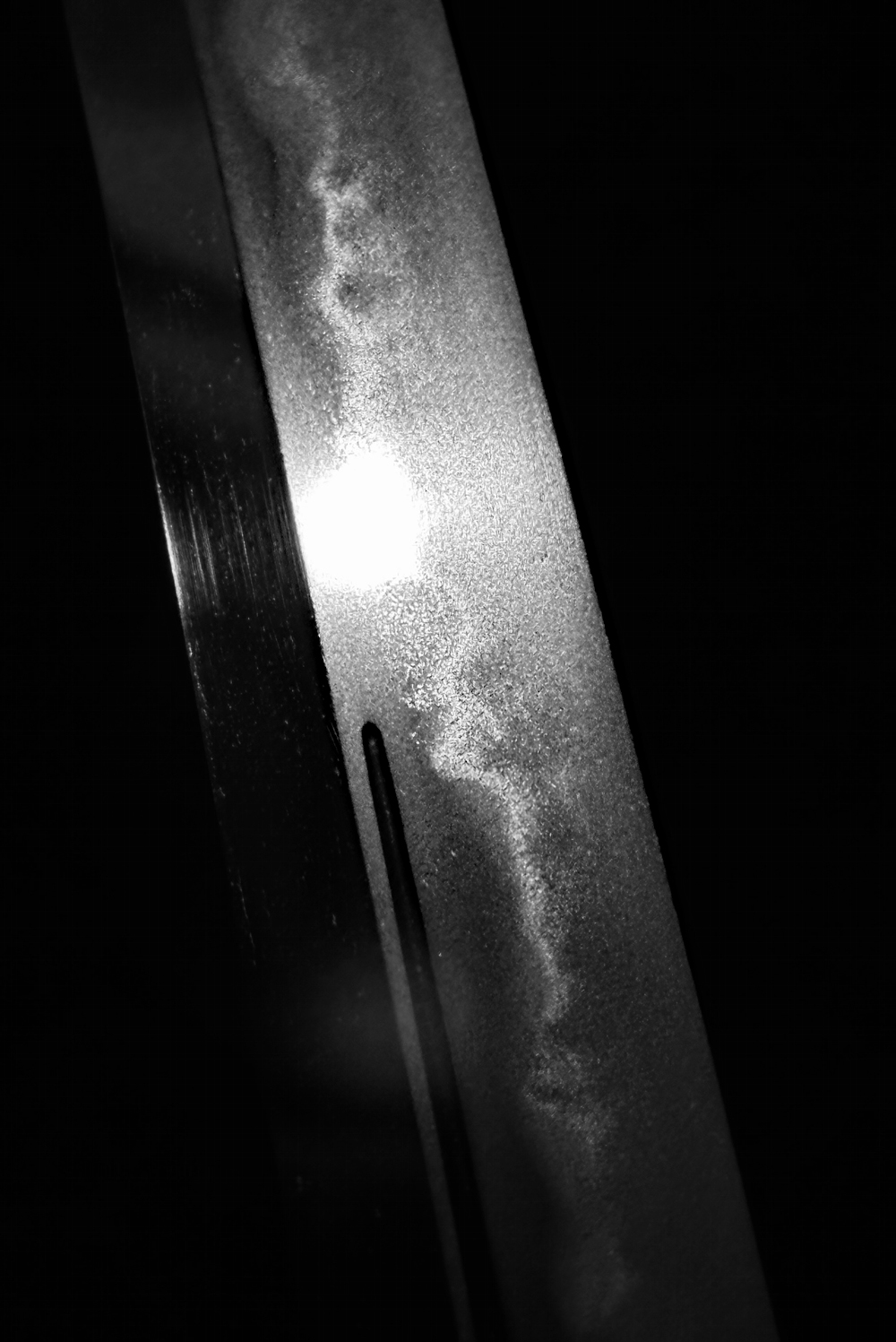 photo_07