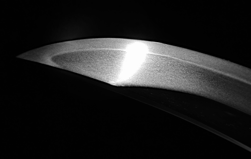 photo_02