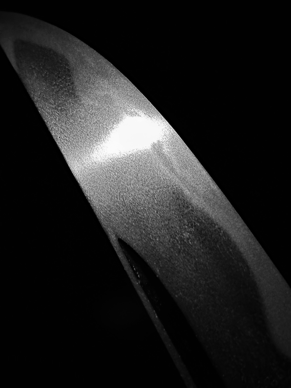 photo_03