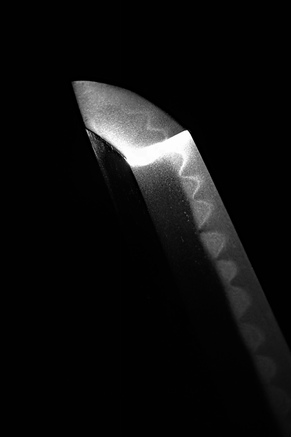 photo_02