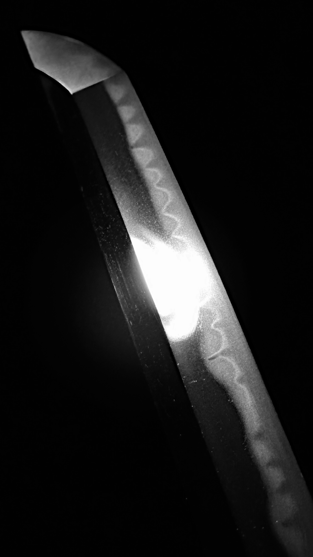 photo_03
