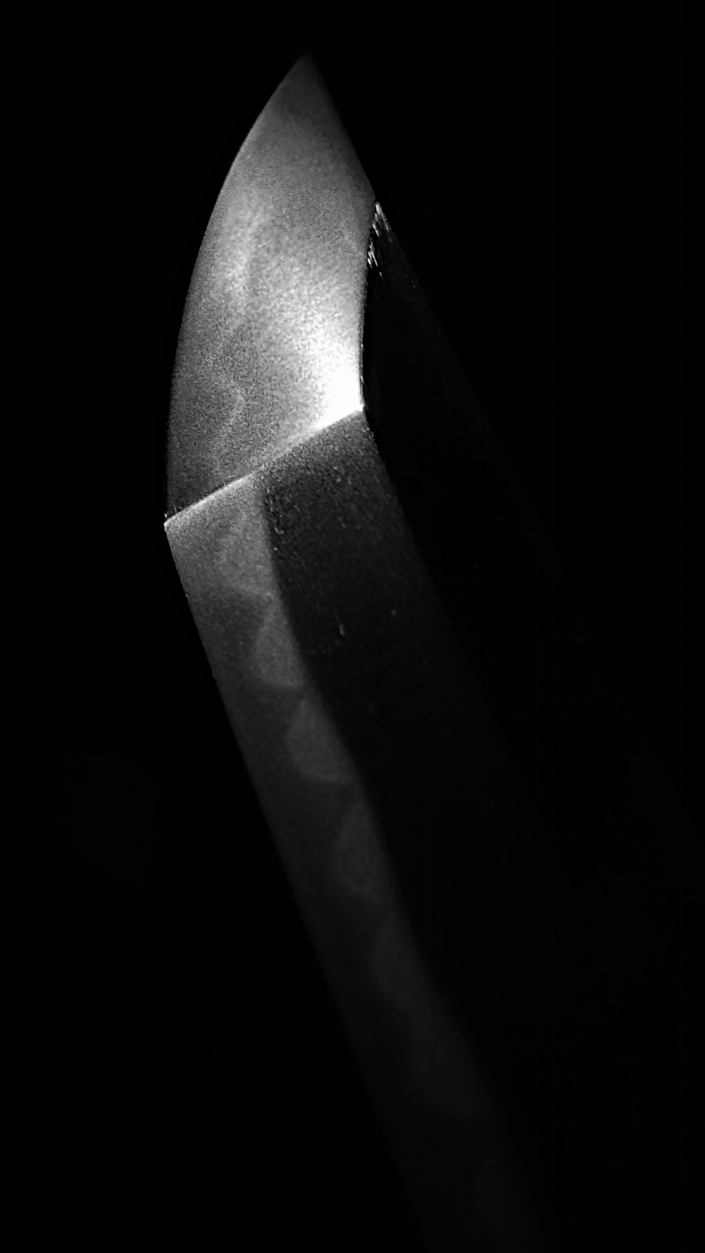 photo_07