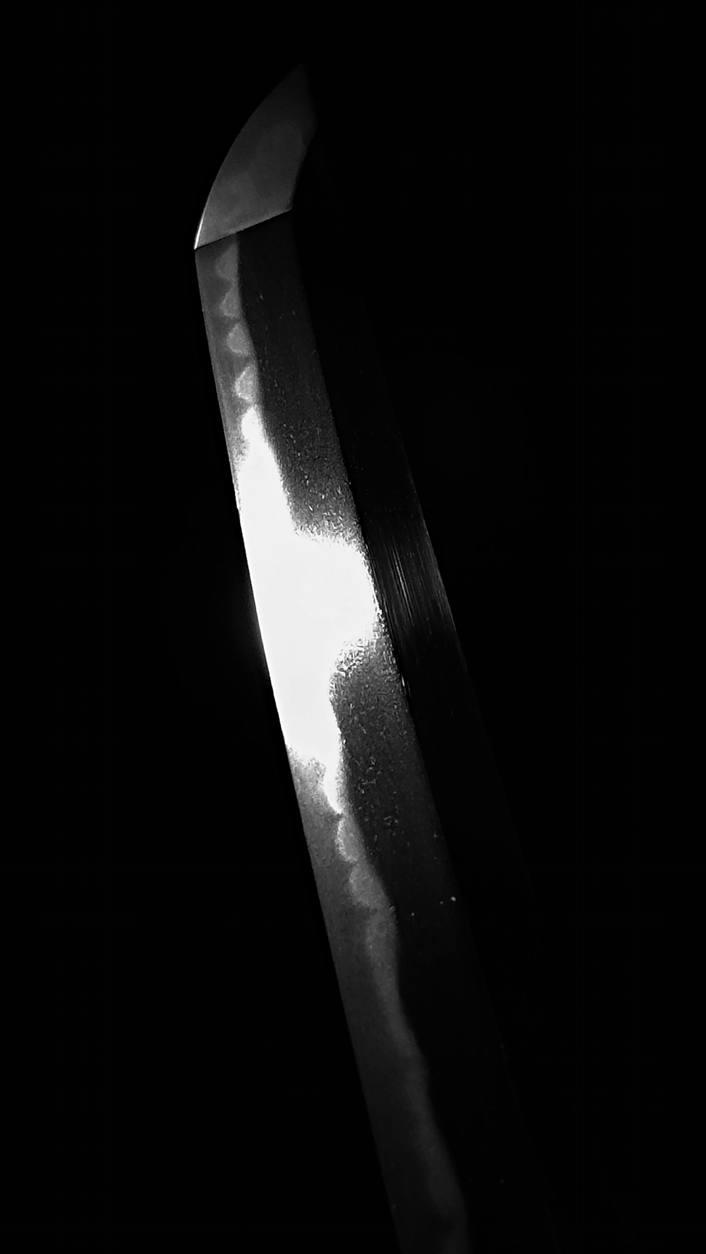 photo_08