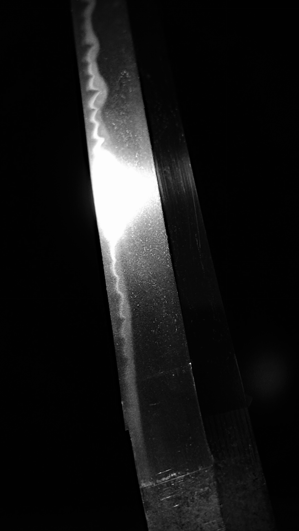 photo_11