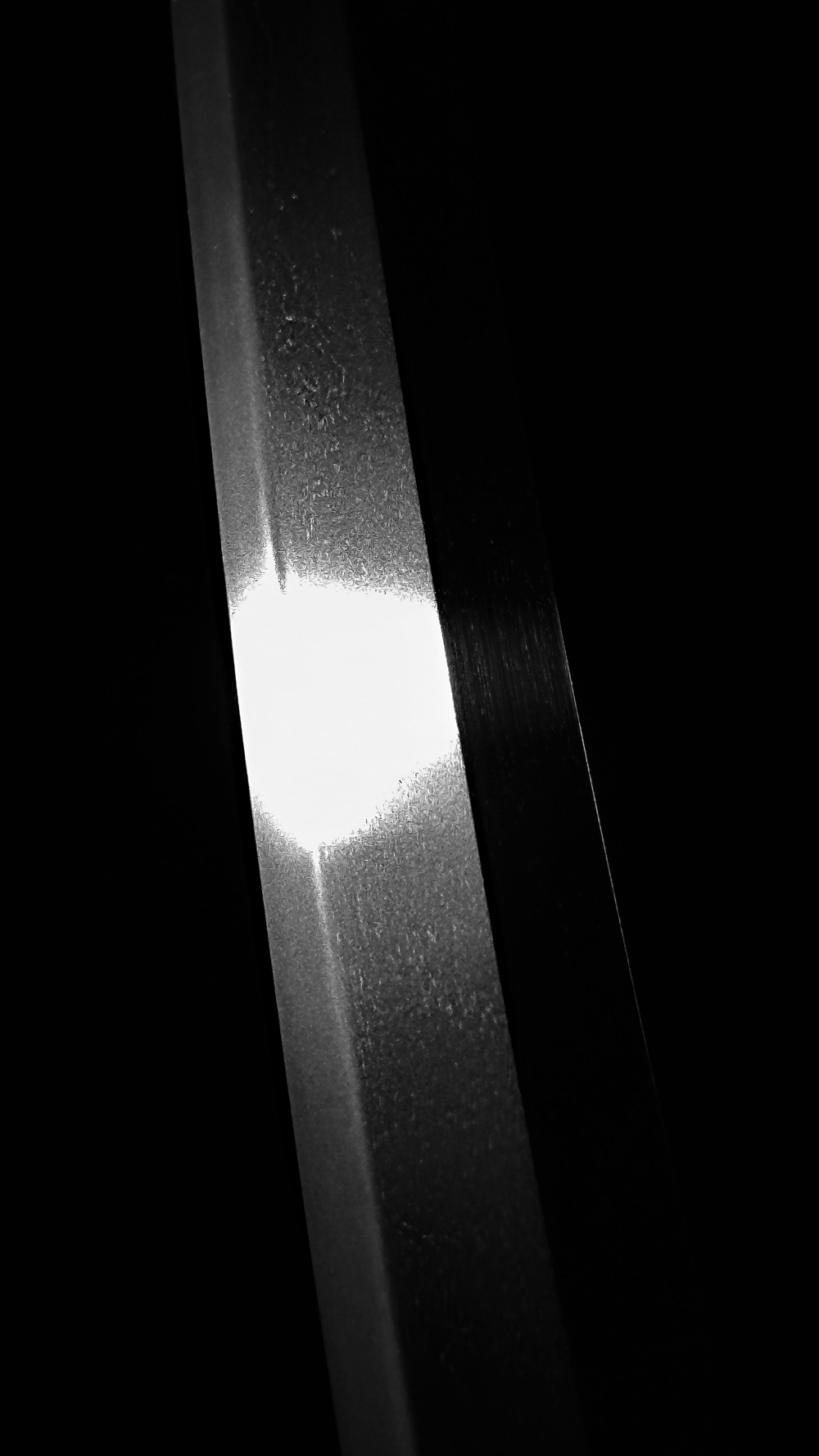 photo_11