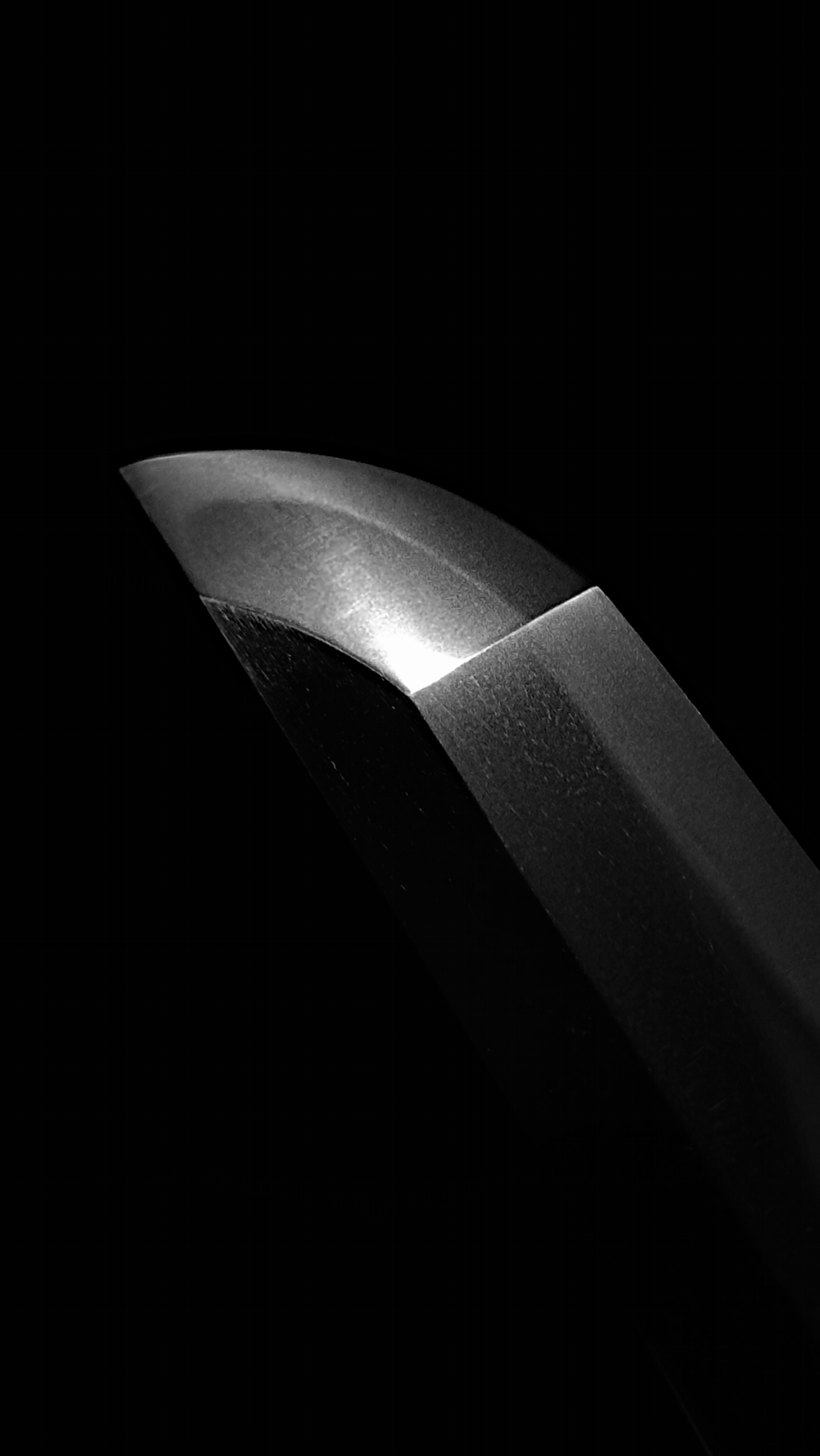 photo_03