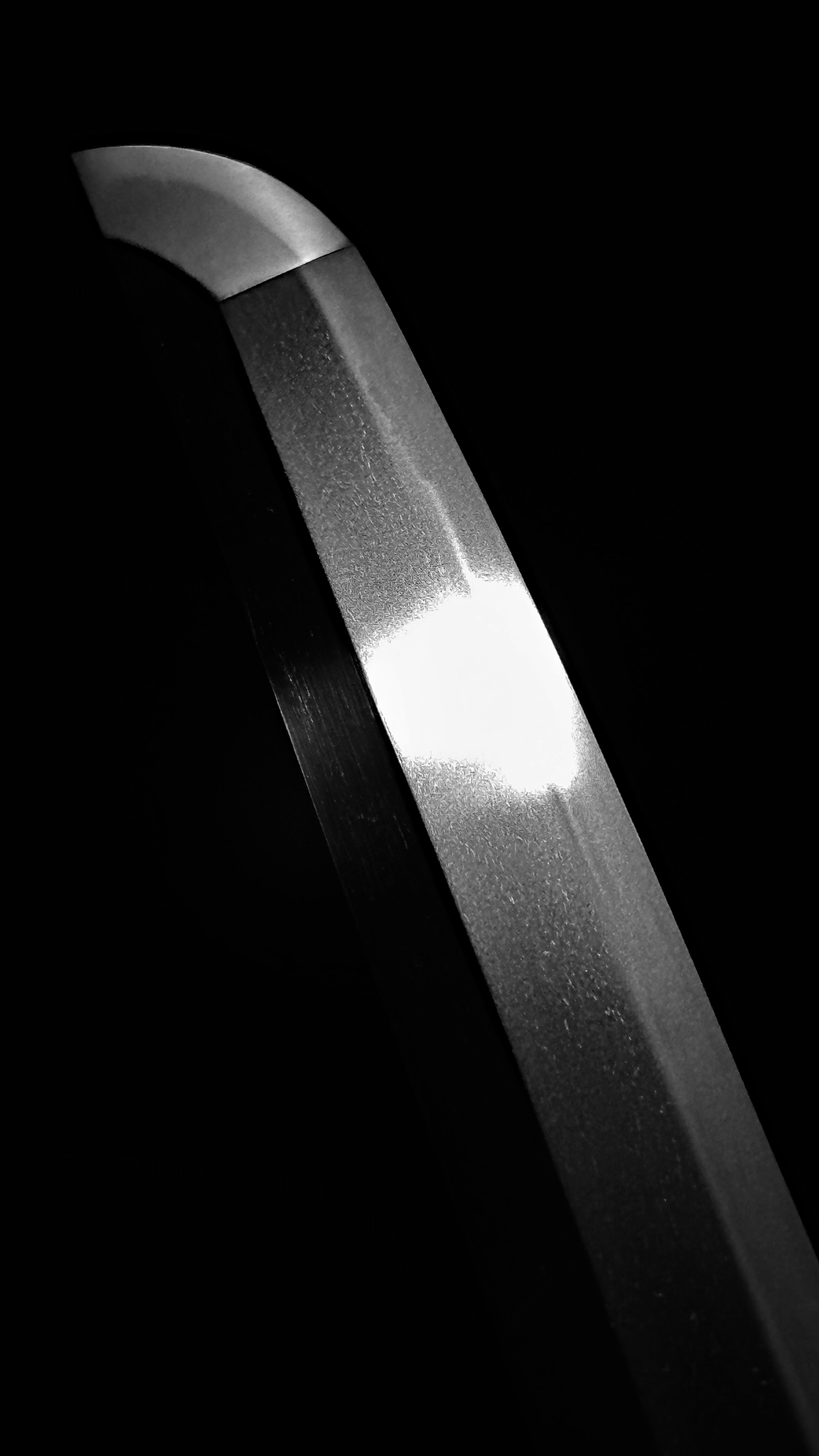 photo_04