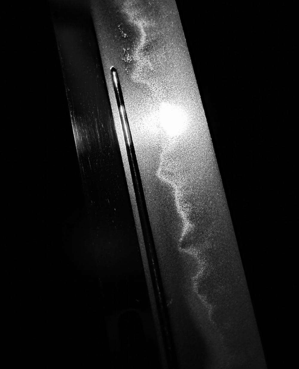 photo_08