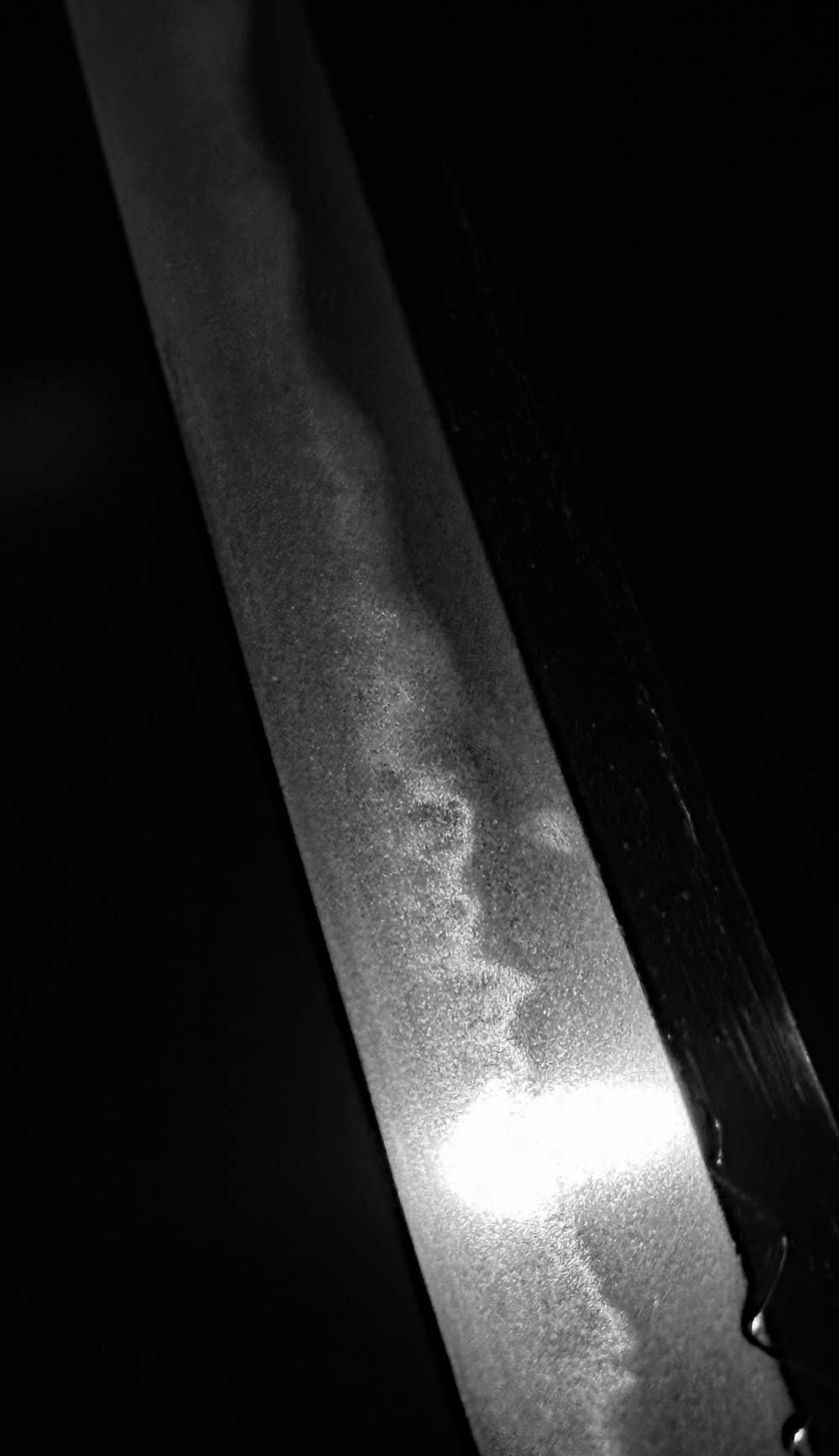 photo_17