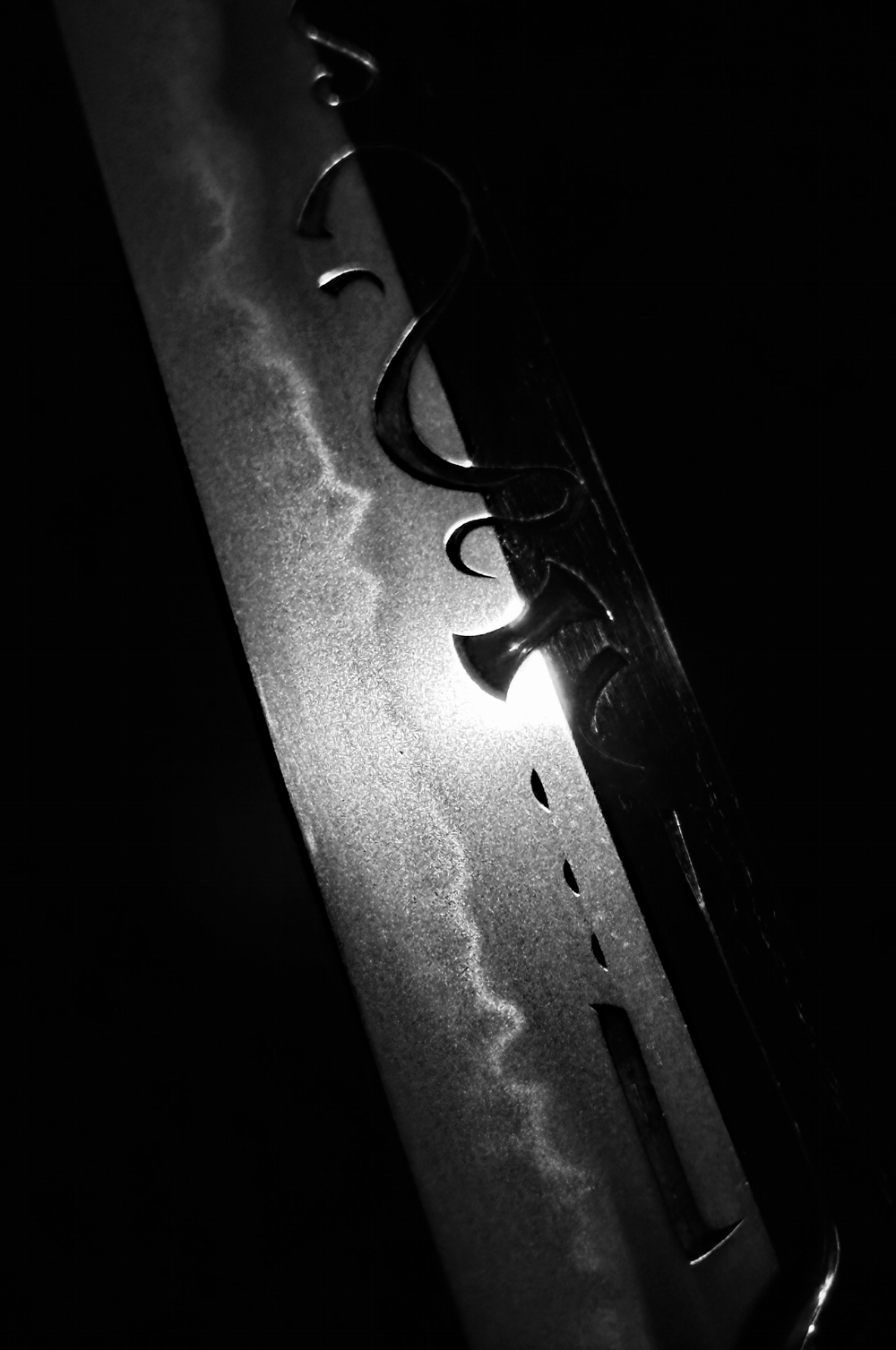 photo_19