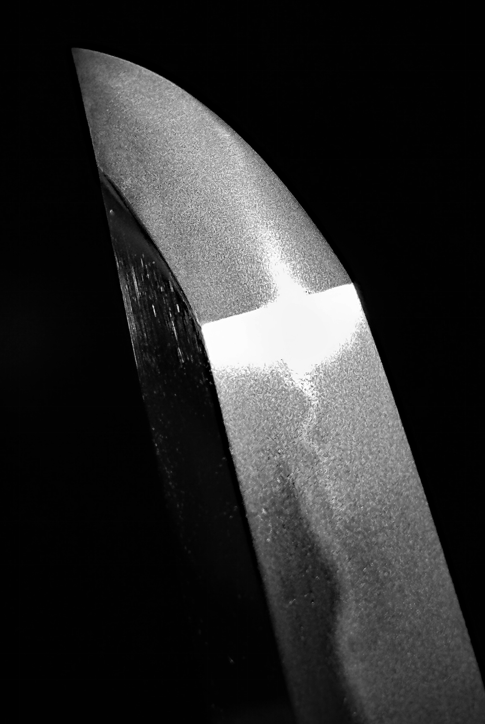 photo_02