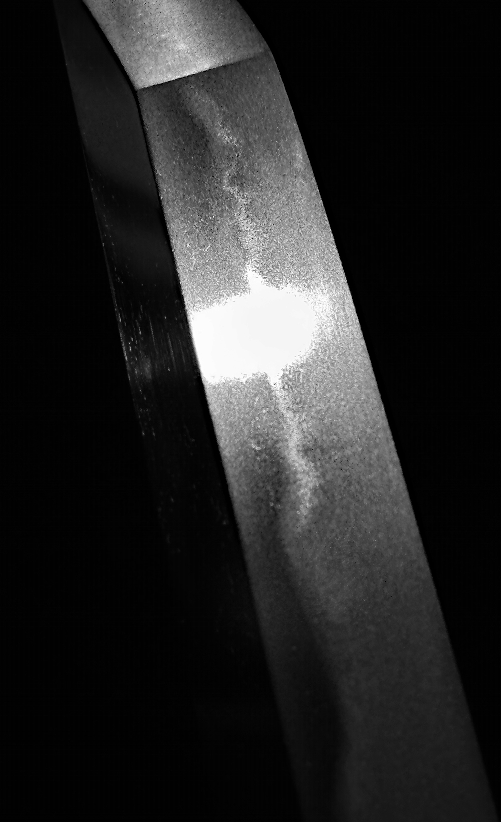 photo_03