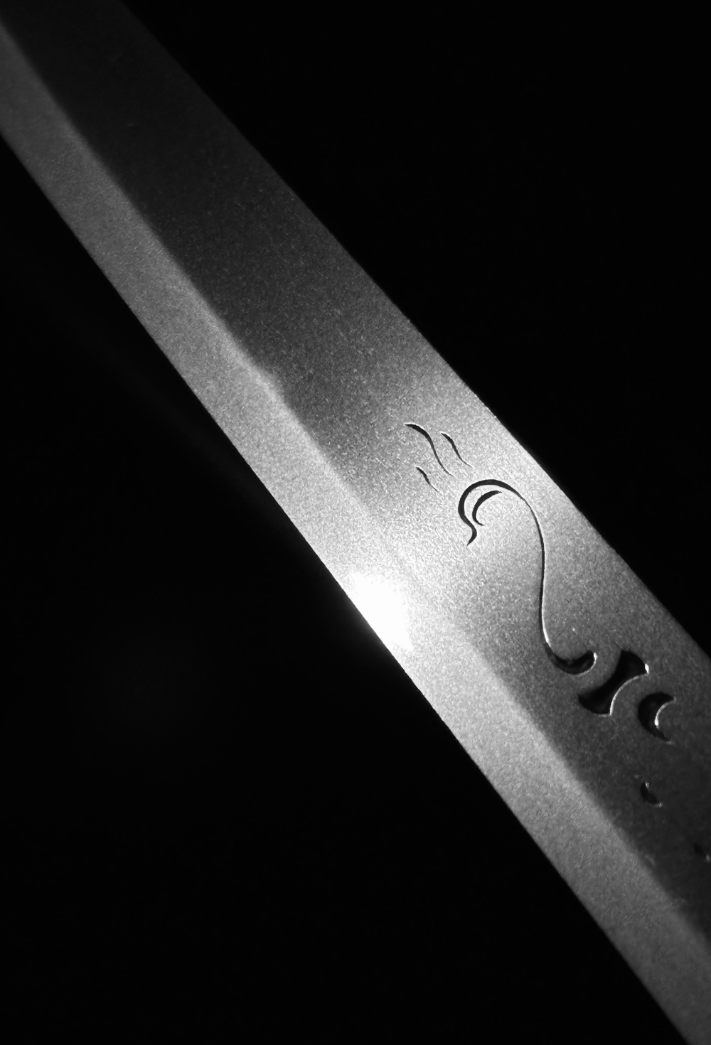 photo_08