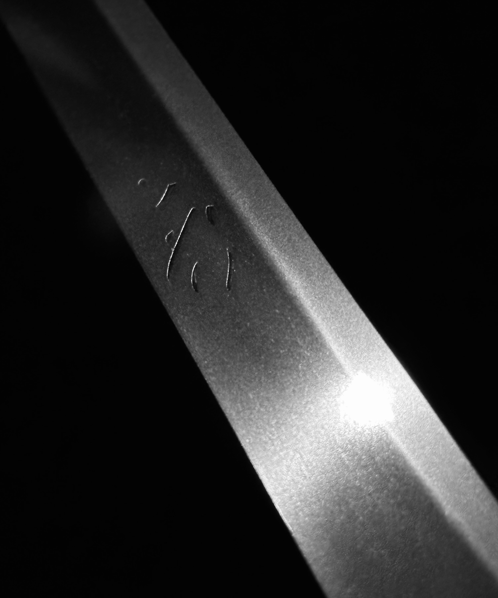 photo_05